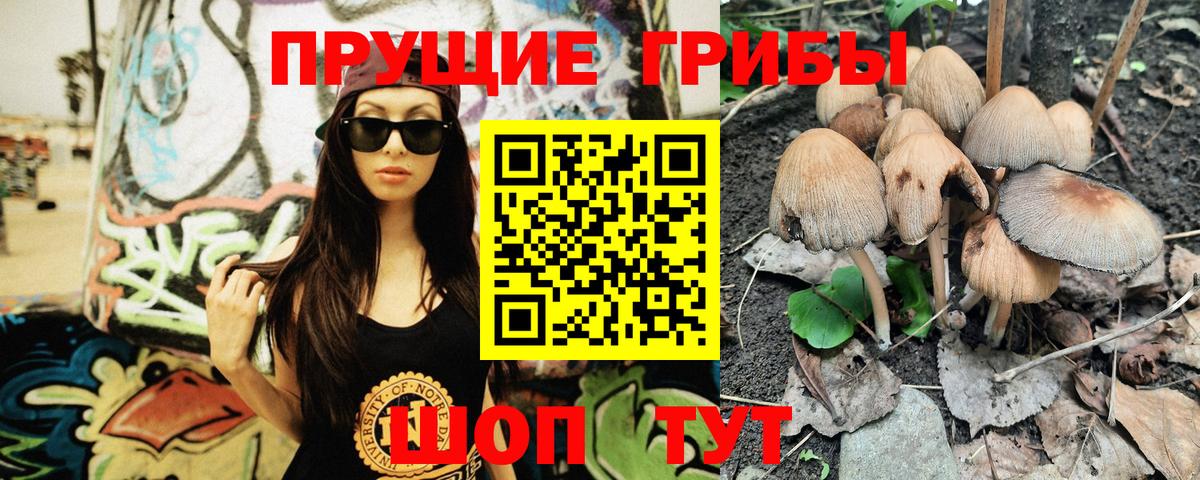Галлюциногенные грибы Magic Shrooms  Псилоцибиновые грибы мухоморы  Железноводск  Вход с VPN 